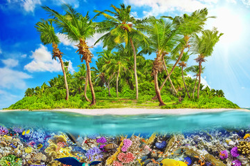 Obrazy na Plexi  Tropikalna wyspa na Oceanie i piękny podwodny świat.