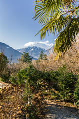 Sunny view of Dolomites near Merano, Trentino-Alto-Adige region, Italy.