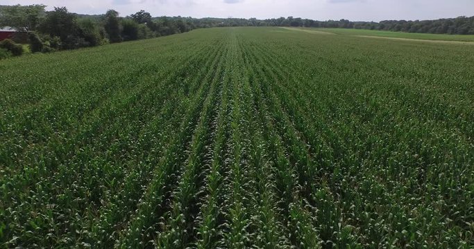 4k Corn Green flyover pt 2 of 2