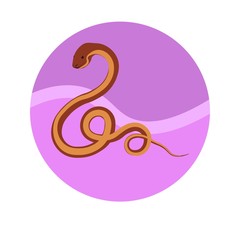 Chinese zodiac sign Snake vector horoscope icon or symbol