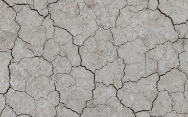 Dried and Cracked ground.