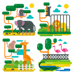 Zoo animals and birds cartoon vector illustration