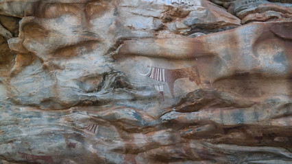 Cave paintings and petroglyphs Laas Geel near Hargeisa, closeup, Somalia
