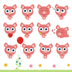 Big set cute little pig. Collection isolated cartoon pig in different poses.