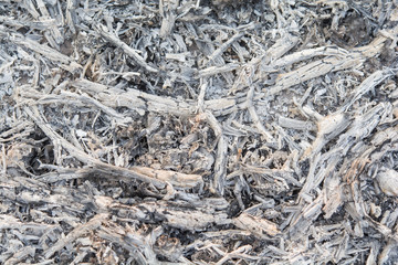 Ashes backward from burning twigs