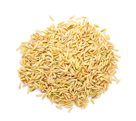 pile of paddy jasmine rice isolated on white background