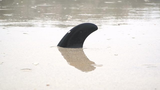 Fake Plastik Haifischflosse in Thailand