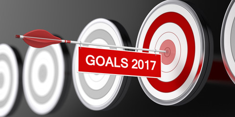 Goals 2017