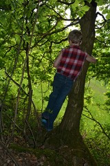 Kleiner blonder Junge von hinten lehnt sich an Baumstamm