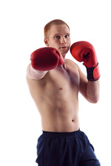 Portrait of young male boxer flexing muscles isolated over white background