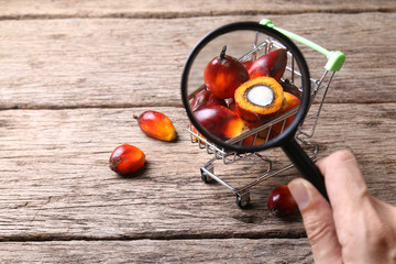 Oil palm seeds in trolley. Concept of palm oil ingredient in market products.