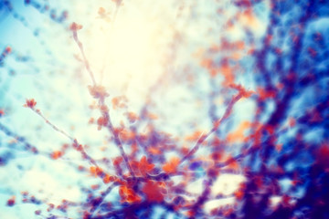 Obraz na płótnie Canvas autumn park blurred background translucent frame for text