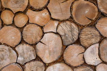 wood background