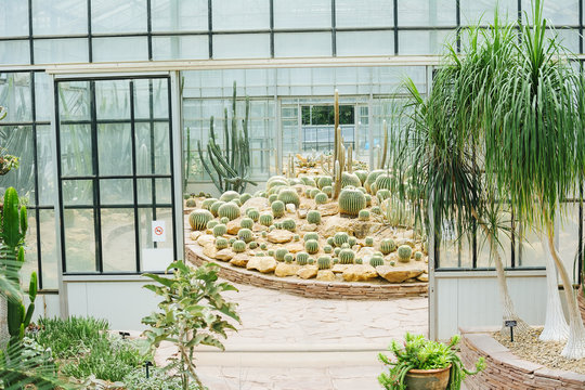 Cactus glasshouse plant botanical garden landmark
