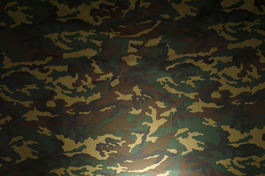 Green Camouflage pattern background for hunting or fishing and Military clothes