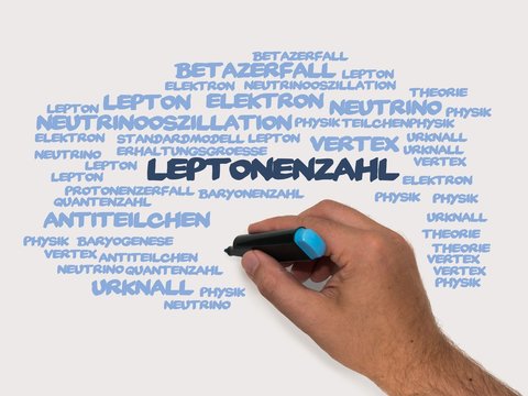 Leptonenzahl