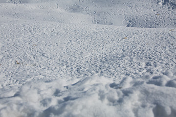 in the winter snow mountains and trees.