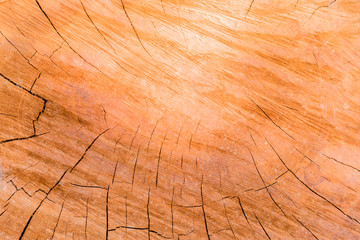 Wooden background  grunge wood board