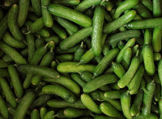 Cucumber on sale in food shop