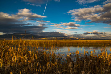 Evening at the Alamosa National Wildlife Refuge
