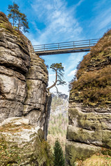 Fototapeta na wymiar Brücke über einen Canyon im Elbsandsteingebirge in Sachsen Deutschland