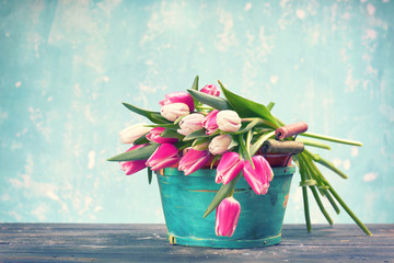 Frühling - frische Tulpen