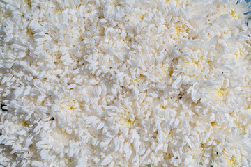 Colorful flowers background for sale at the wholesale flower market in Kyauk Mee