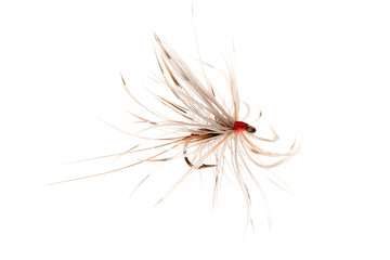 Fototapeta premium Fishing Hook for Fly Fishing Cut Out