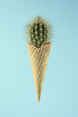Kaktus in Waffel - Abschleckverbot