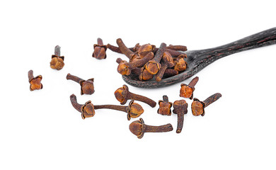 dry cloves on white background