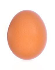eggs on white background
