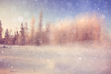 Obraz na płótnie Canvas winter background blur forest snowflakes bokeh
