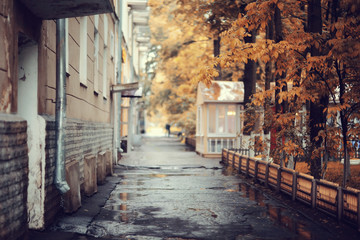 amazing autumn landscape in the city park
