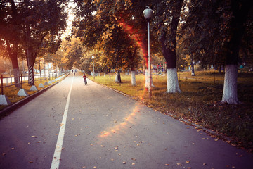 blurred background path in autumn city park