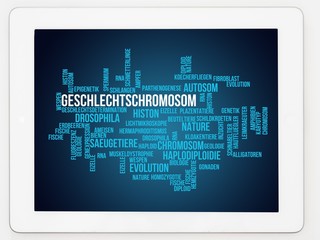 Geschlechtschromosom