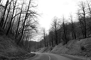 Along an empty road in winter season