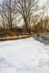 Winter im Delta der Wulka