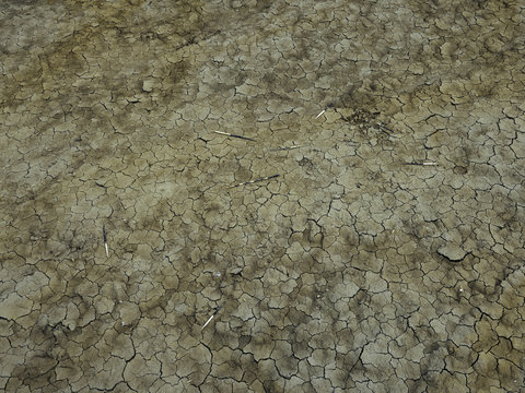dry soil