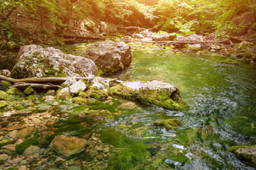 Forest stream running over mossy rocks. The mountain river in Crimea