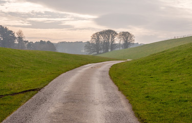 Long farm road leading to treeline in mist at Lyme Park, Disley, Cheshire, UK