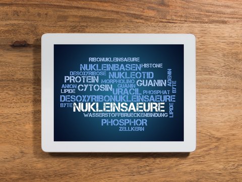 Nukleins&auml;ure