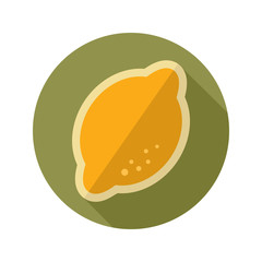 Lemon flat icon. Tropical fruit