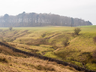 Fototapeta na wymiar Winter trees and hillside at Lyme Park, Disley, Cheshire, UK