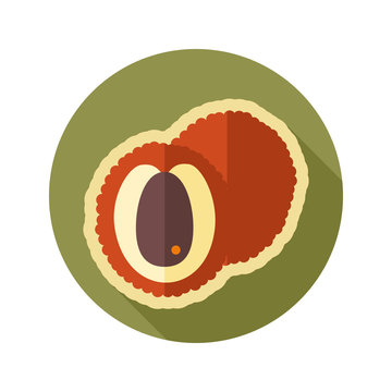 Lichee flat icon. Tropical fruit