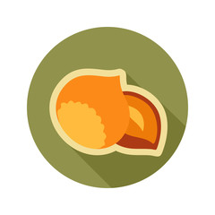 Nut flat icon. Fruit
