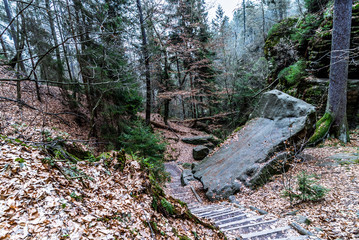 Steiler Aufgang durch Felsformationen im waldigen Elbsandsteingebirge in der sächsischen Schweiz in Deutschland