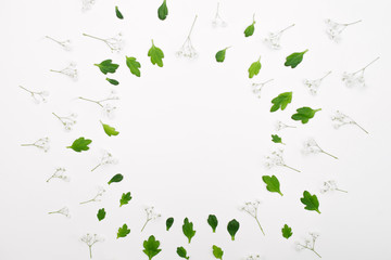 Flower composition. Frame made of green flowers and leaves. Copy space, flatlay, top view. Concept of spring