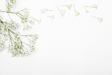 Floral composition with white flowers on white background. Flatlay, copy space, mockup.