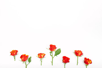 Flowers composition with roses and leaves on white background. Flatlay, top view, square. 