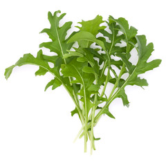 Close up studio shot of green fresh rucola leaves isolated on white background. Rocket salad or arugula.